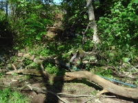 30th May 2009 012